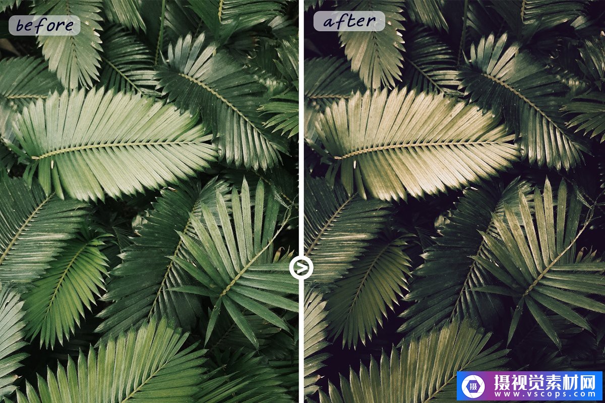 1581645999-d99710f3c68d934 1581645999-d99710f3c68d934