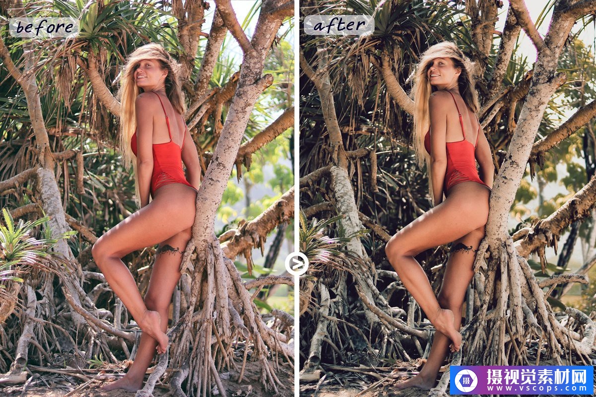 1581646023-c4b7ab4c4fc94c7 1581646023-c4b7ab4c4fc94c7