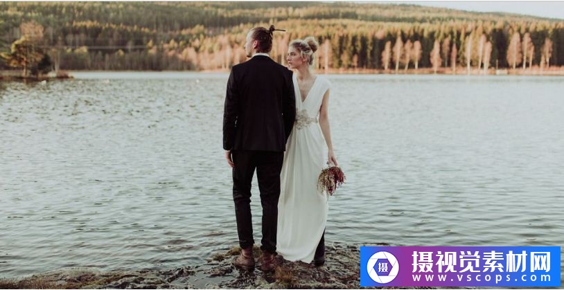 1581649554-9082679d3a6a30f 1581649554-9082679d3a6a30f