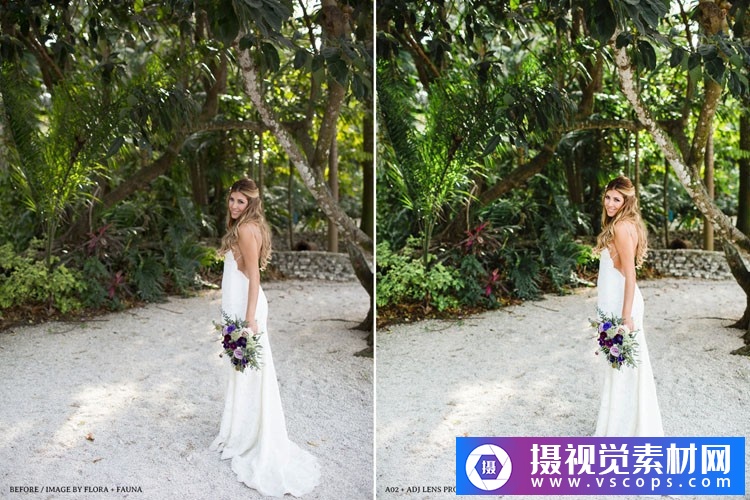 1581649559-3a319b2483a5ea1 1581649559-3a319b2483a5ea1