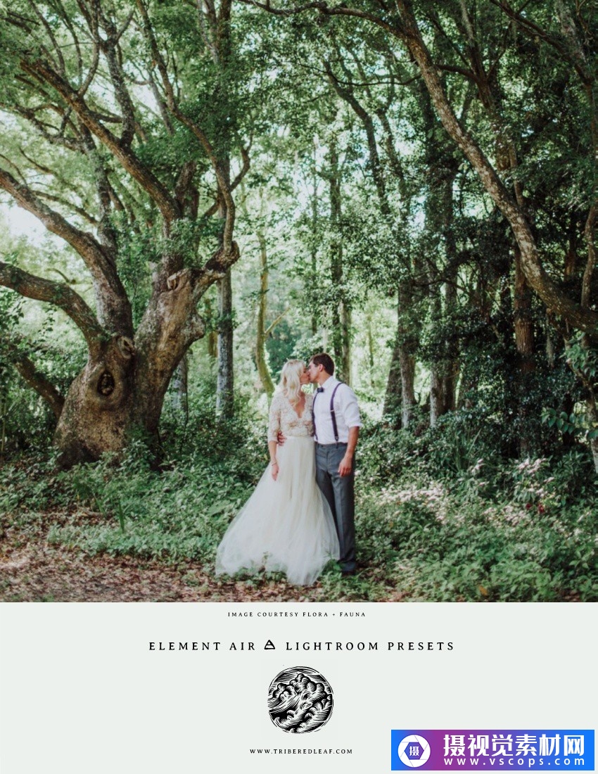 1581649565-a1ed0f9e747ce44 1581649565-a1ed0f9e747ce44