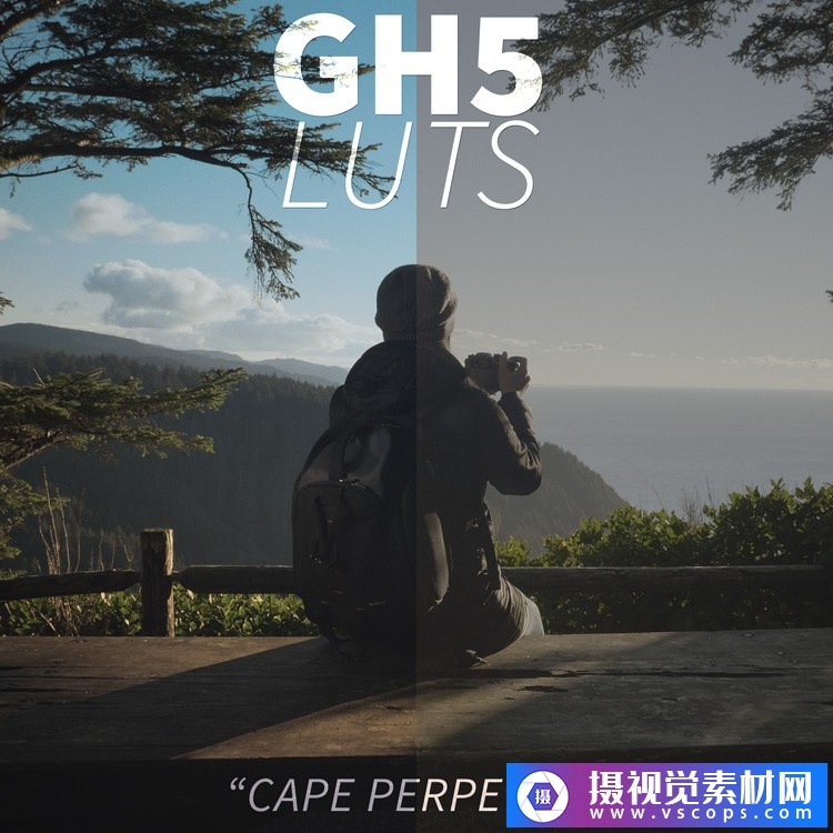 1581681186-7c2d9373d7e4f54 1581681186-7c2d9373d7e4f54