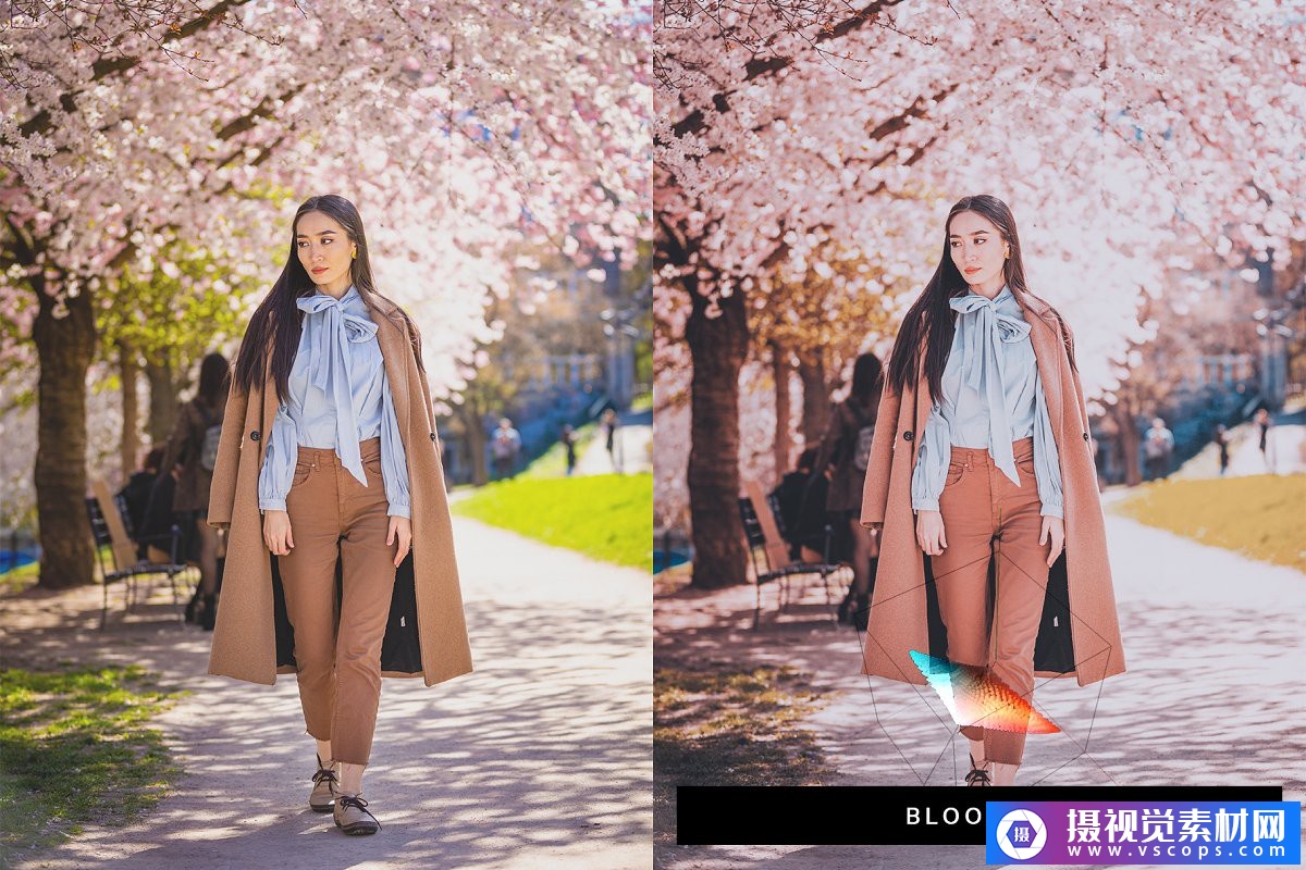 1581688824-888cca53d41a869 1581688824-888cca53d41a869