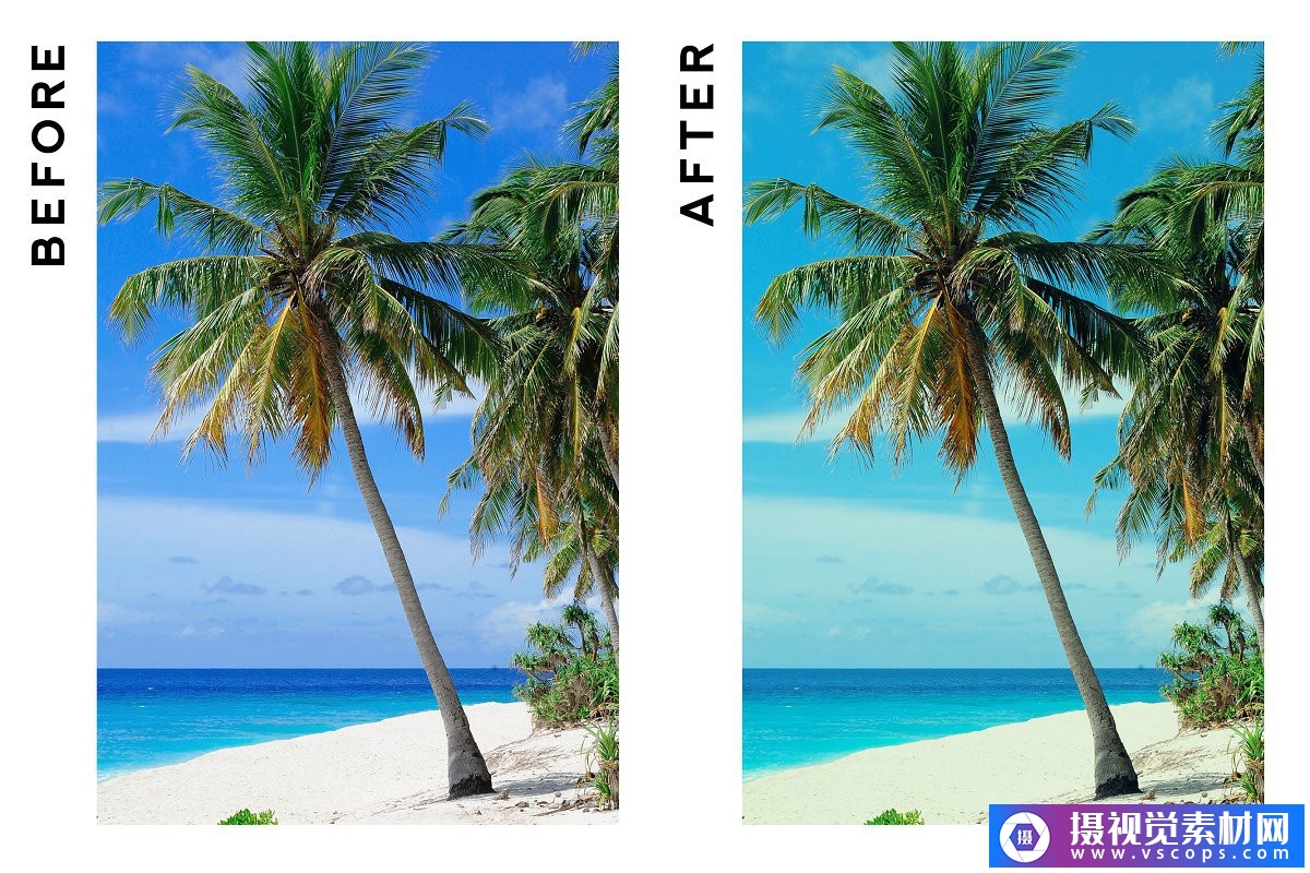 1581689327-1b170c5a9988900 1581689327-1b170c5a9988900