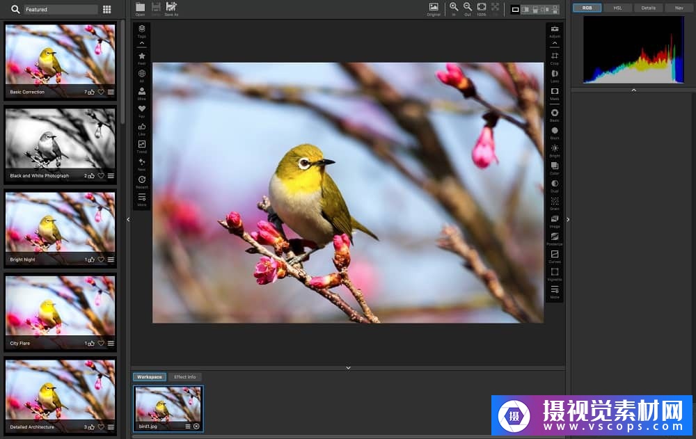 1581769700-ec49c5f39e0fede 1581769700-ec49c5f39e0fede