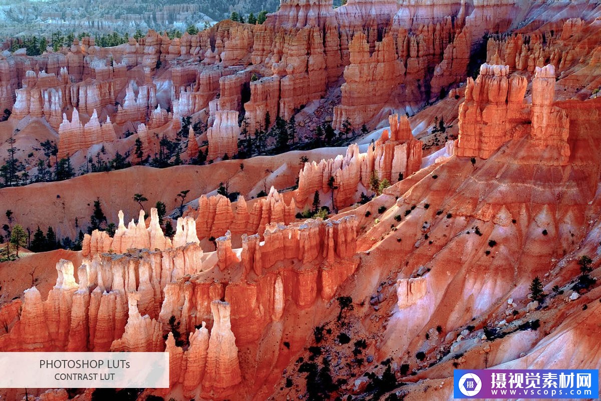 1581777214-d3fa29686348d8b 1581777214-d3fa29686348d8b