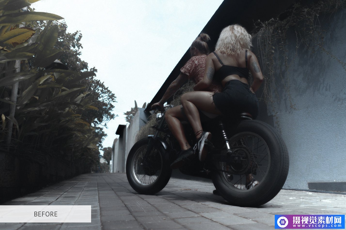 1581860783-00aae4aa4d690a9 1581860783-00aae4aa4d690a9