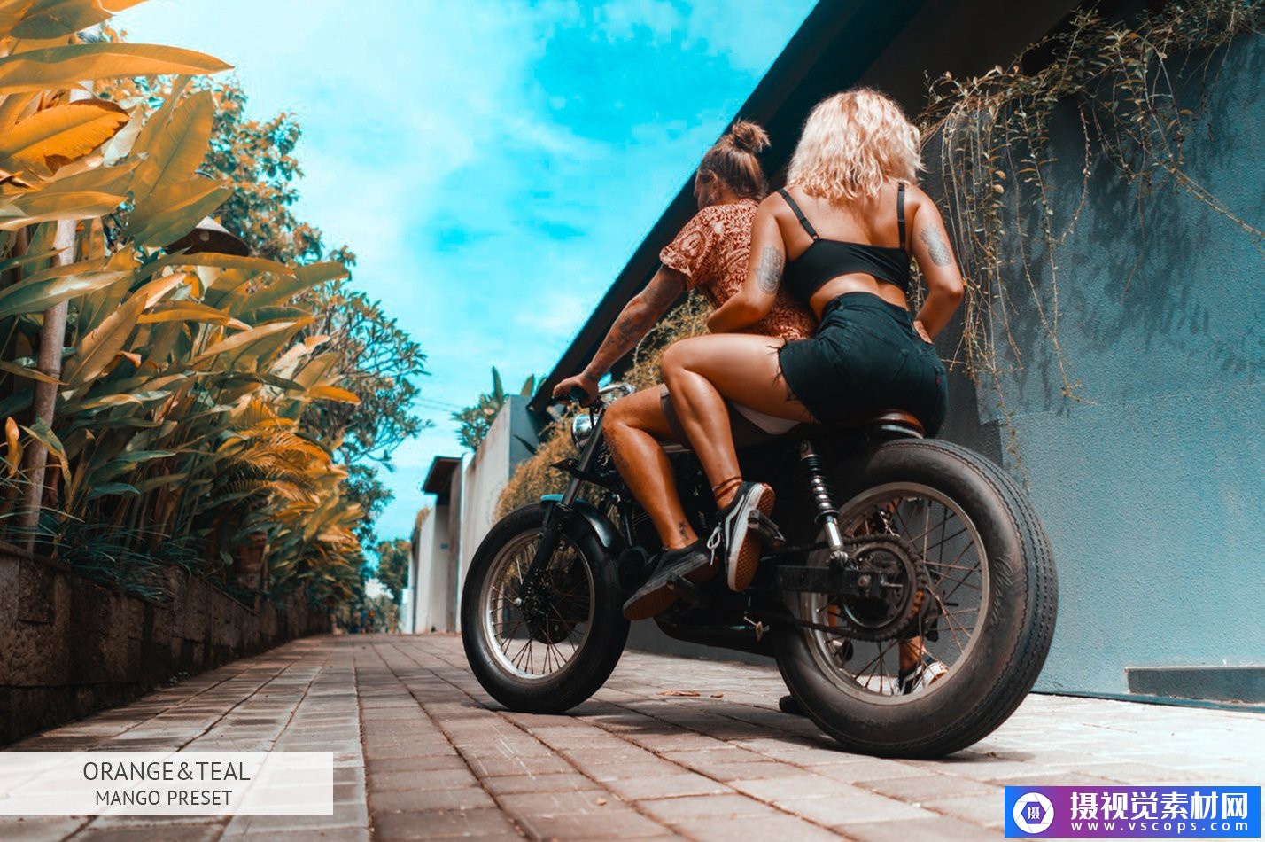 1581860788-3d0d86c5def73c3 1581860788-3d0d86c5def73c3