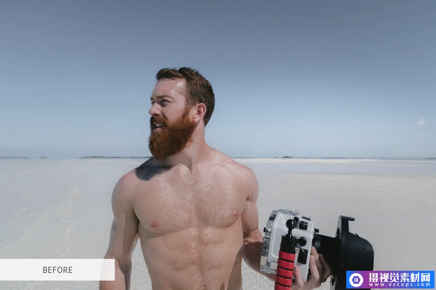 1581860800-b7ab22570ea3e4a 1581860800-b7ab22570ea3e4a