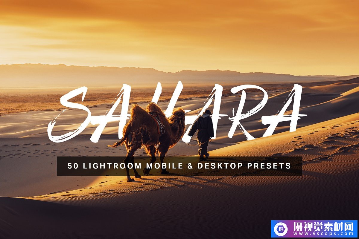 1582094784-9b6af5d392f82c2 1582094784-9b6af5d392f82c2