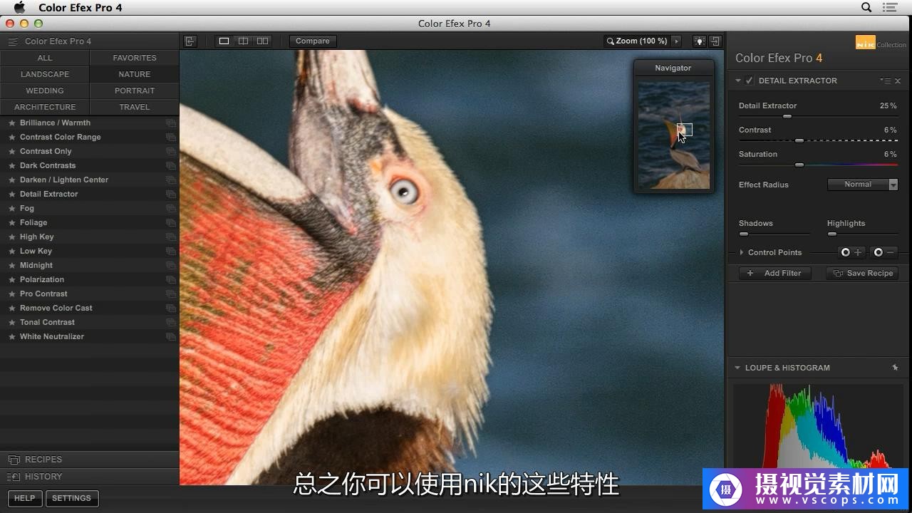 1582102245-70edb7b671563c5 1582102245-70edb7b671563c5