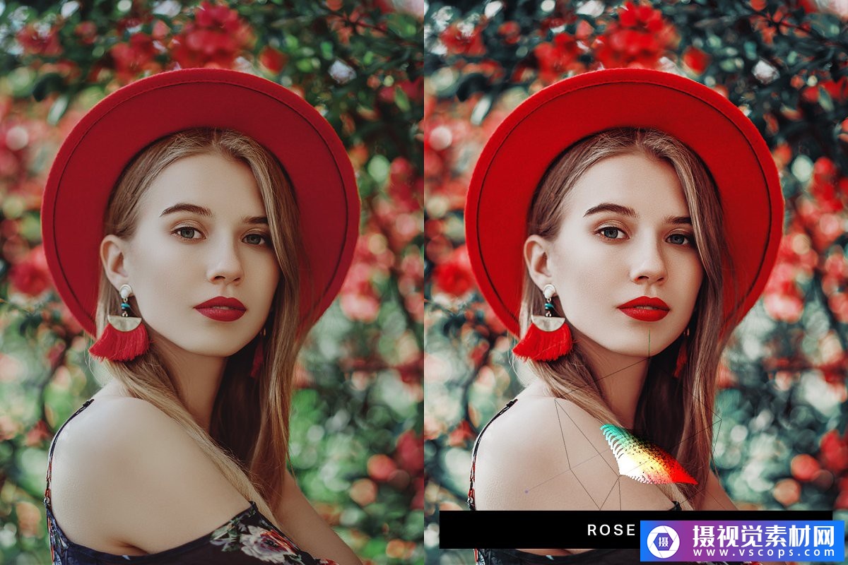 1582274150-7b92237f03008ec 1582274150-7b92237f03008ec