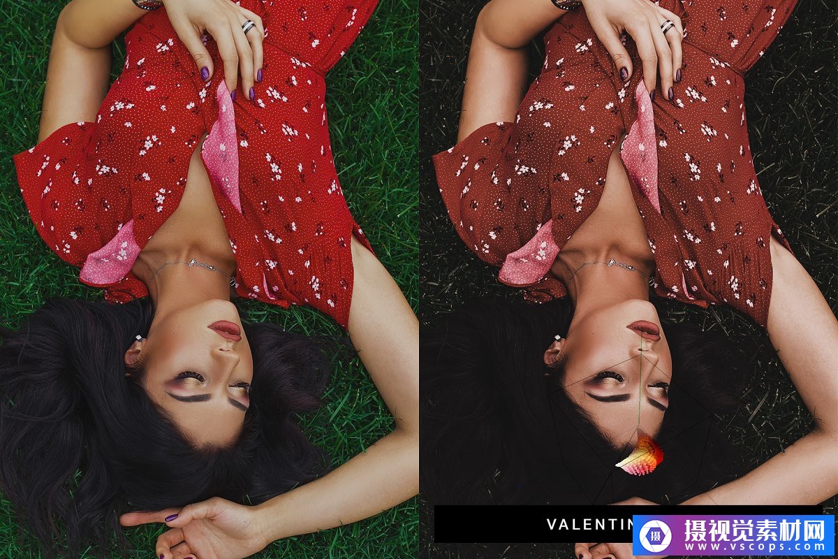 1582274154-e5516de8da57b38 1582274154-e5516de8da57b38