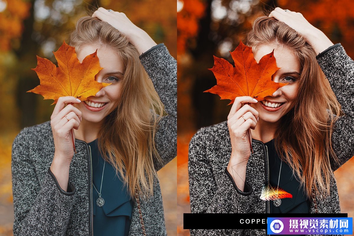 1582274482-dfe8bbd72585e14 1582274482-dfe8bbd72585e14