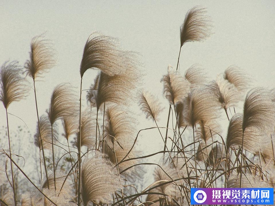 1582289219-f712543ee5a7894 1582289219-f712543ee5a7894