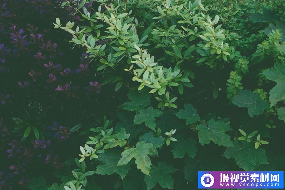 1582289224-8668013904959e8 1582289224-8668013904959e8