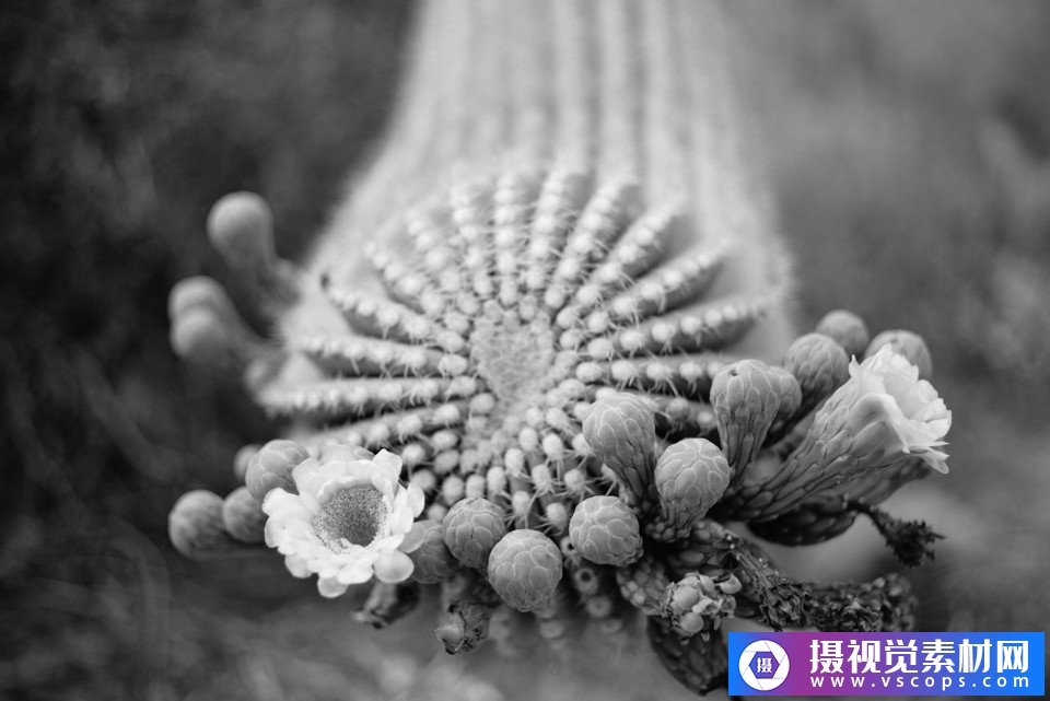 1582289238-bec0487e951e789 1582289238-bec0487e951e789