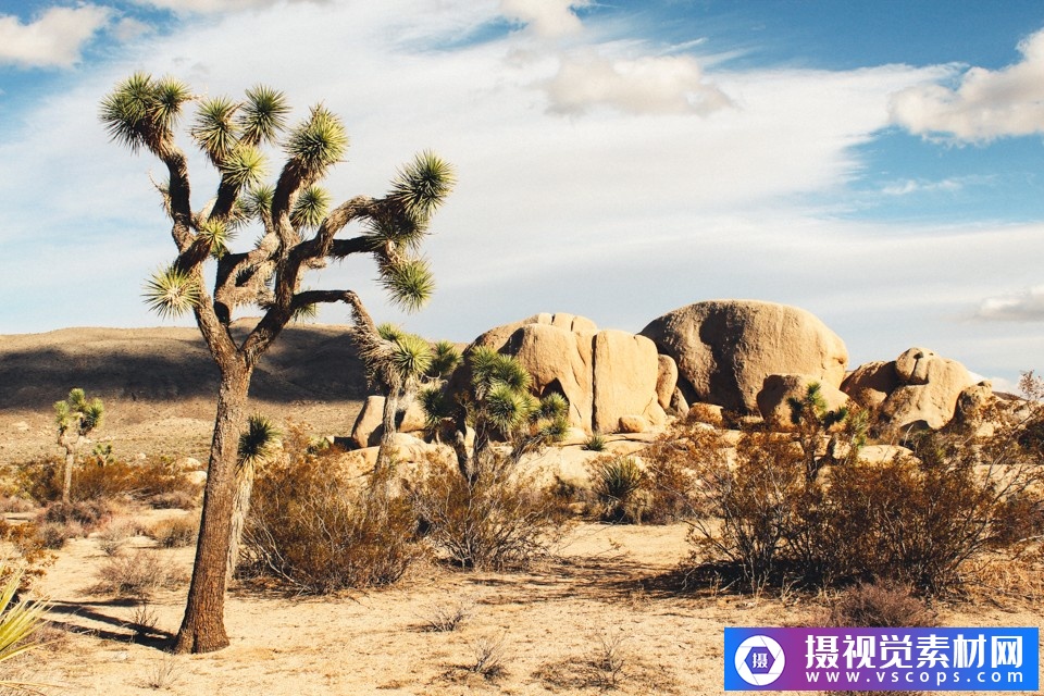 1582289239-8ce43a3b7f338ed 1582289239-8ce43a3b7f338ed