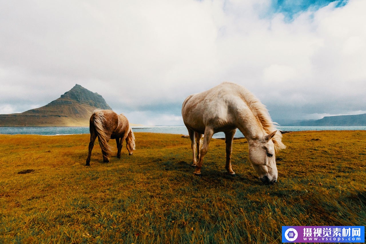 1582290912-f925266b5ca2183 1582290912-f925266b5ca2183