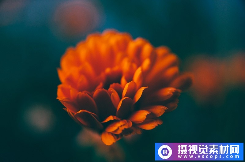 1582292045-984b7ef5e351d27 1582292045-984b7ef5e351d27