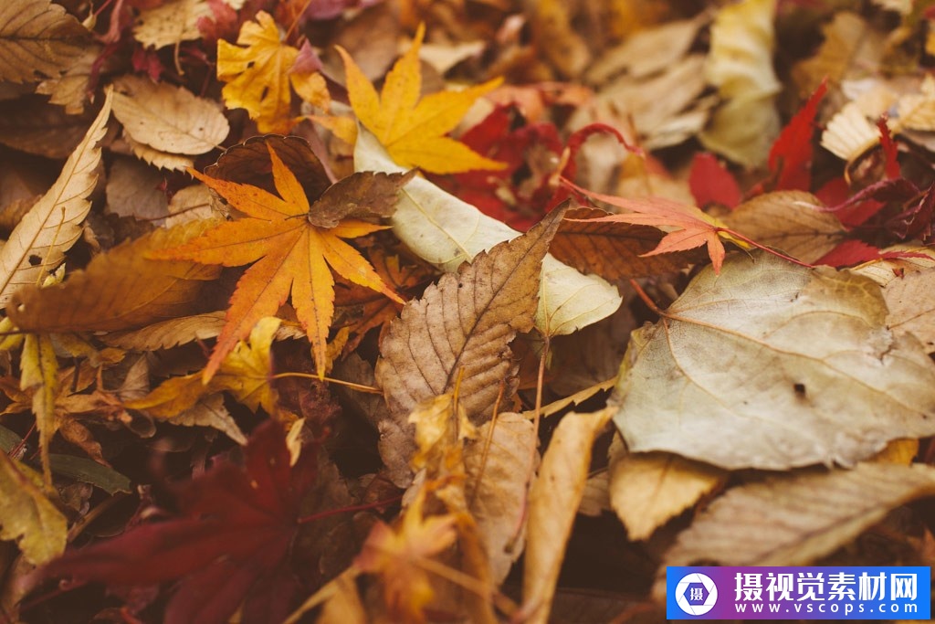 1582292407-a66cead45c8a936 1582292407-a66cead45c8a936