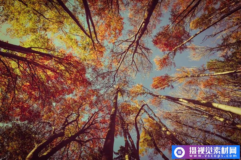 1582292411-ebec0b6d392f18c 1582292411-ebec0b6d392f18c