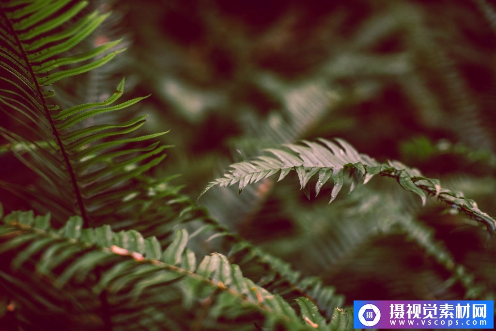 1582292412-7713b17a4bd26ee 1582292412-7713b17a4bd26ee