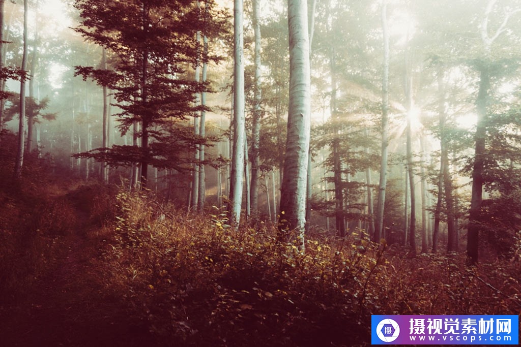 1582292415-27dfae4f80a4fd1 1582292415-27dfae4f80a4fd1