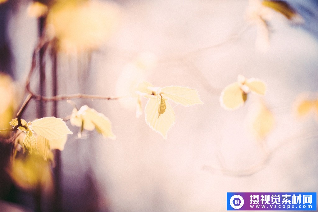 1582292420-0dfd459d0899fdb 1582292420-0dfd459d0899fdb