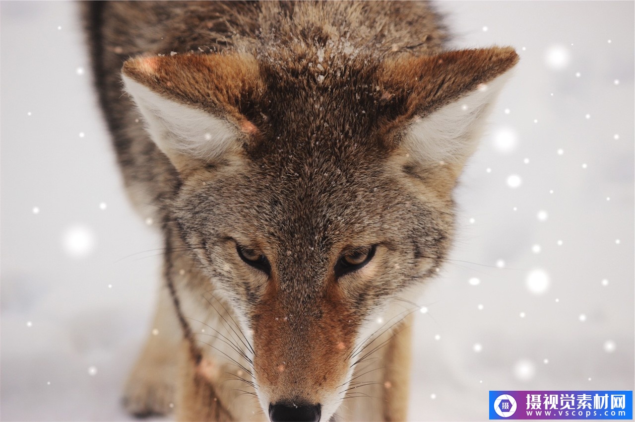 1582292901-180dd18b905e98b 1582292901-180dd18b905e98b