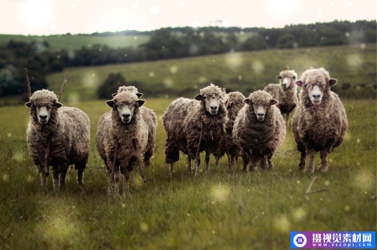 1582292916-29d308426d6d5cb 1582292916-29d308426d6d5cb