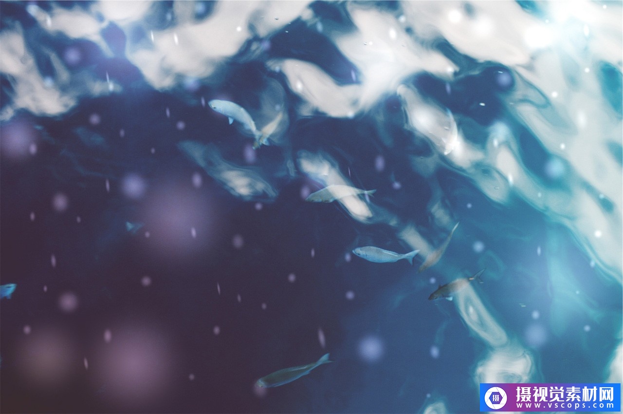 1582292922-69f2e42333187f2 1582292922-69f2e42333187f2