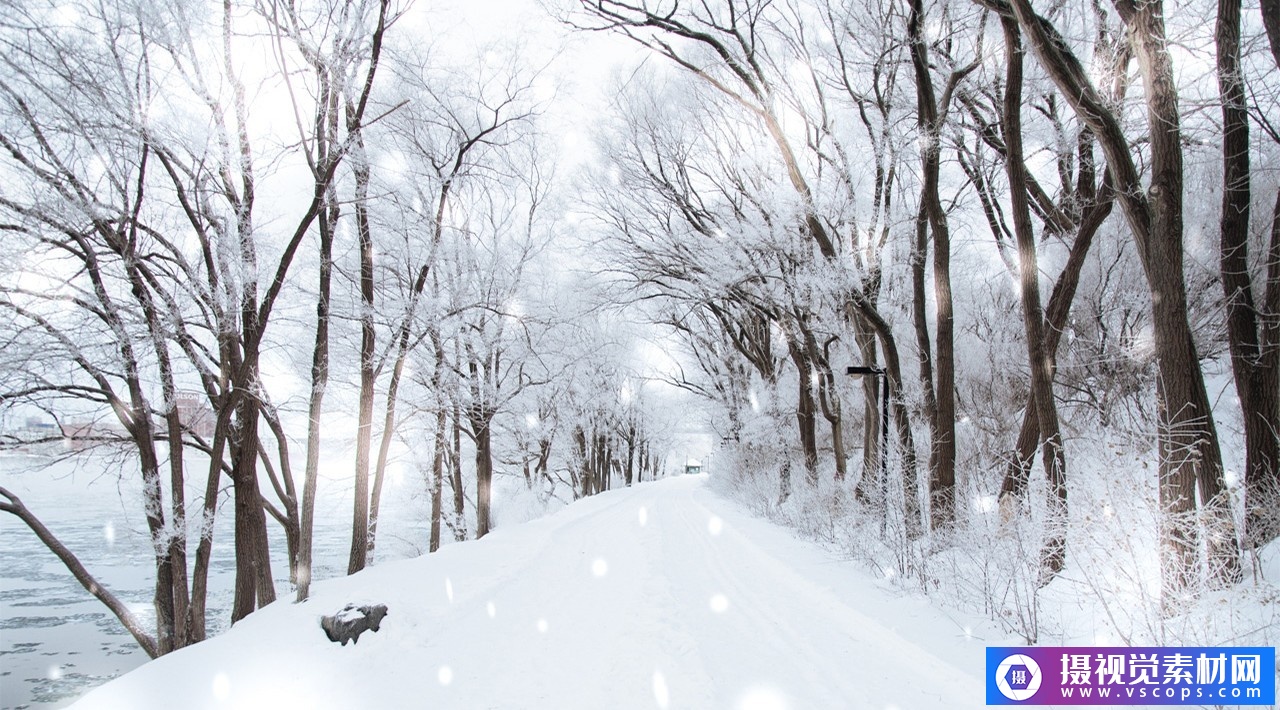 1582292926-c9242b8e6c39561 1582292926-c9242b8e6c39561