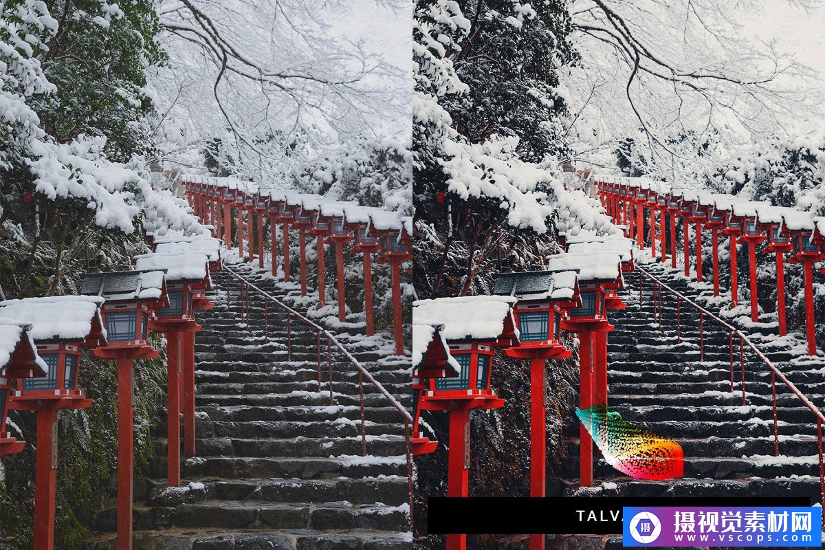 1582380646-311d09185b411fc 1582380646-311d09185b411fc