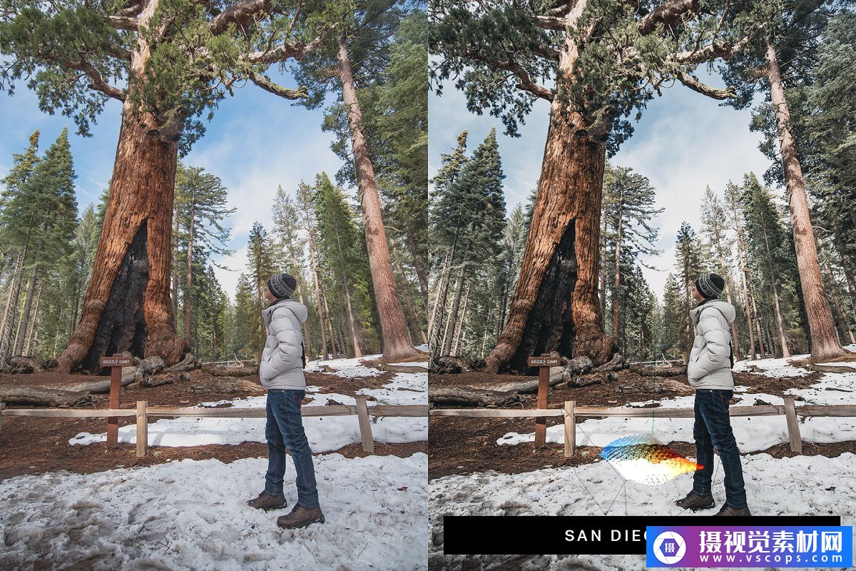 1582437527-e79e32e310030fc 1582437527-e79e32e310030fc