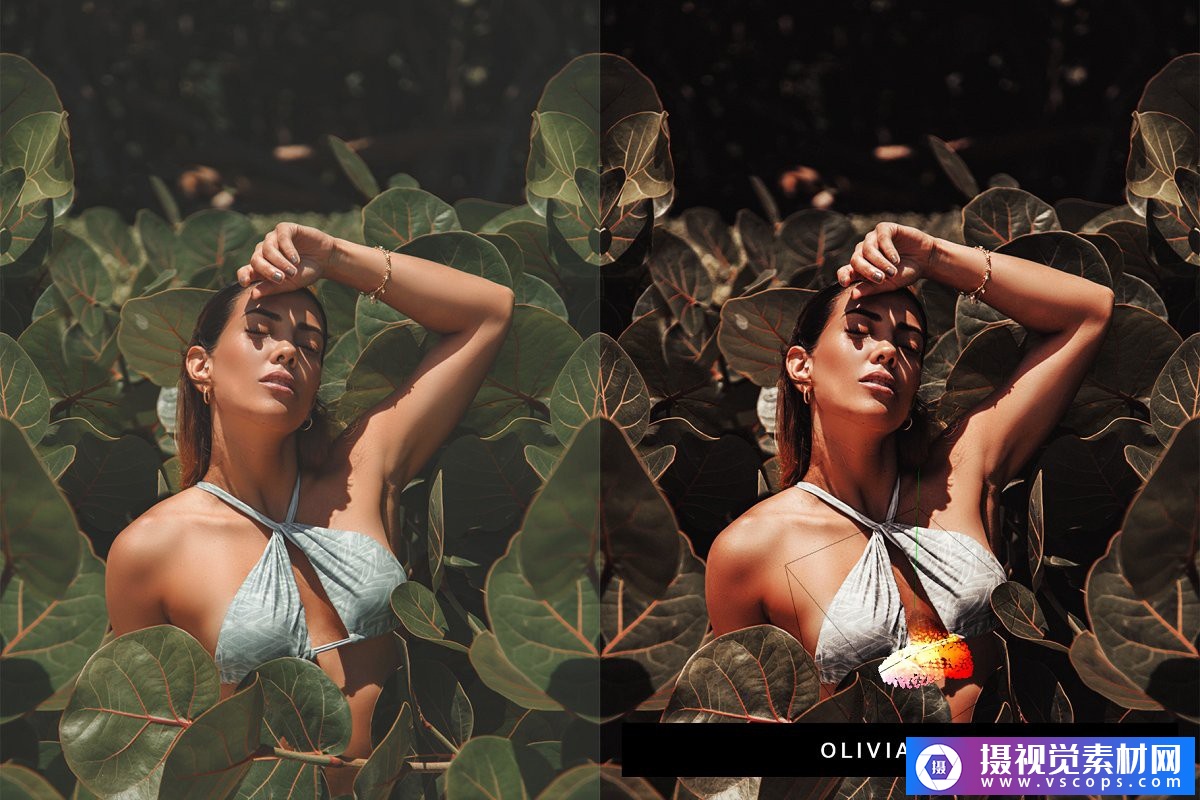 1582460596-bb0d5f31c0eb6a6 1582460596-bb0d5f31c0eb6a6