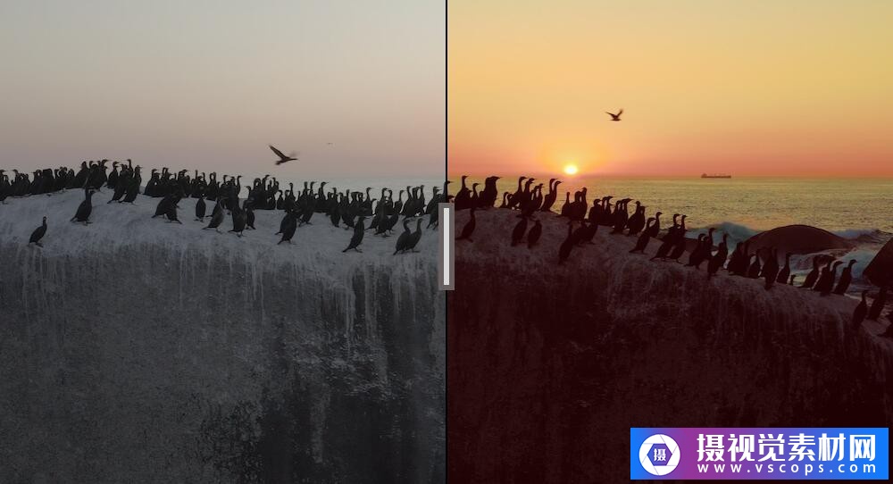 1582464190-a0bd8b6f083ba5d 1582464190-a0bd8b6f083ba5d