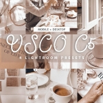 Instagram网红博客VSCO C5胶片风Lightroom预设包含移动手机版lr预设