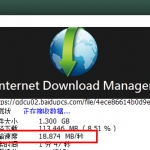 Internet Download Manager (IDM) v6.35.8中文完美版/绿色免安装版