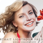 1300个免费人像Lightroom预设下载 1300 Portrait Lightroom Presets