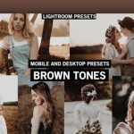 棕色调复古胶片LR预设+手机lr预设 BROWN TONES Lightroom Presets