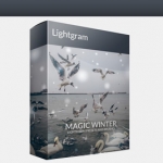 Lightgram出品 Magic Winter雪景预设包（含笔刷）