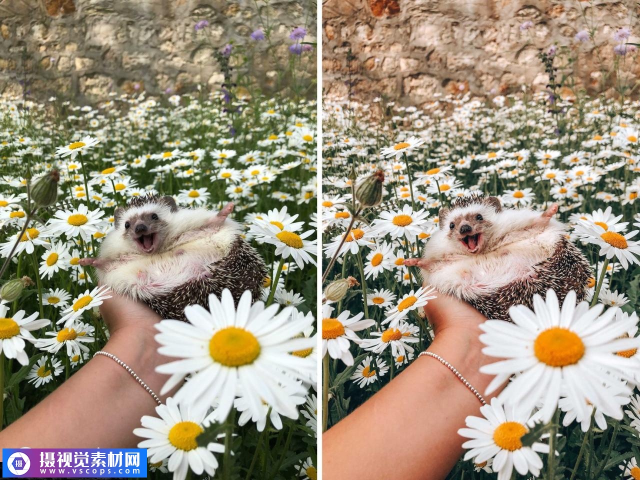 预设套装台式机Lightroom预设和lr手机预设插图8