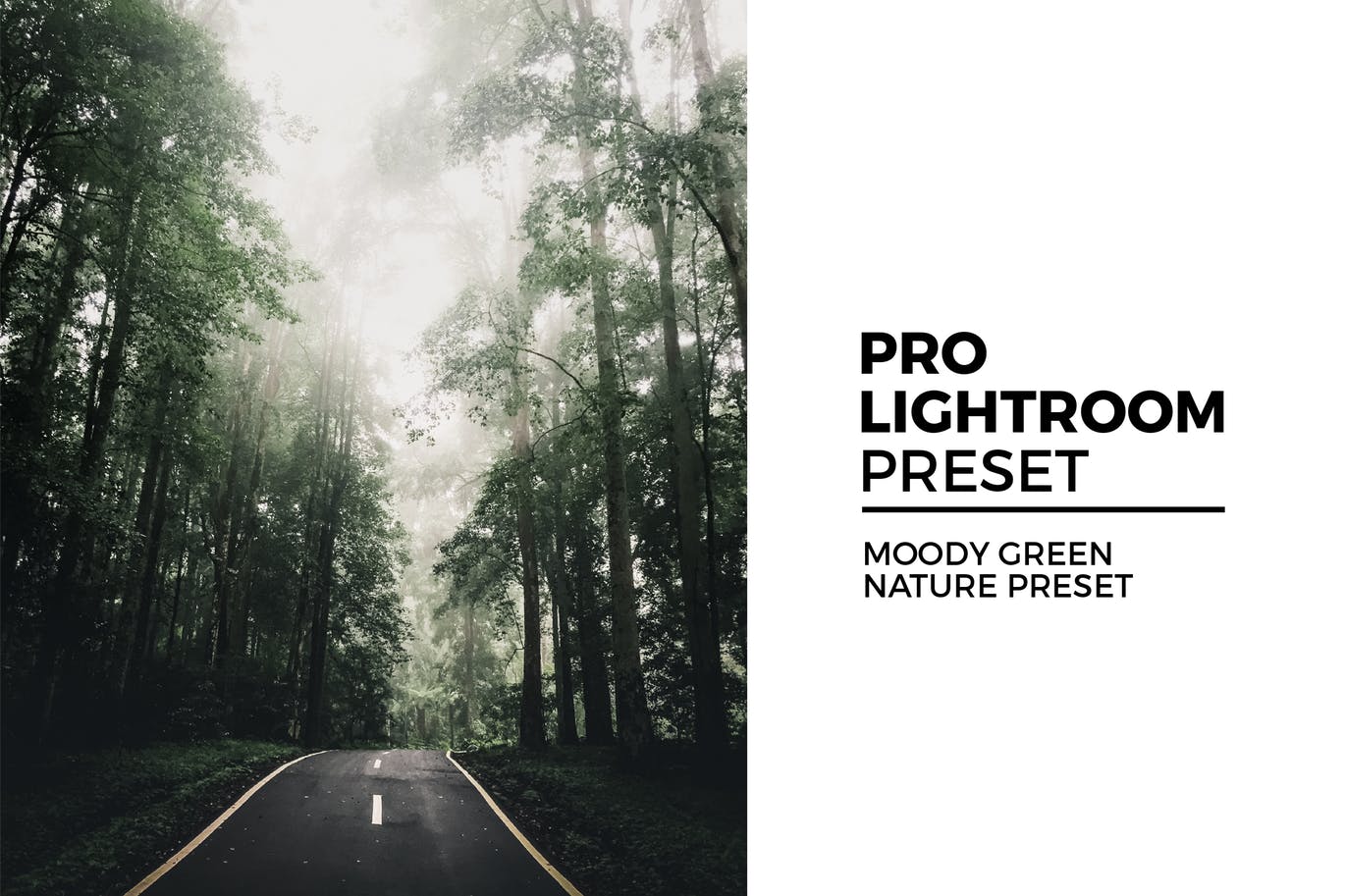 喜怒无常的绿色自然Lightroom预设moody green nature preset插图