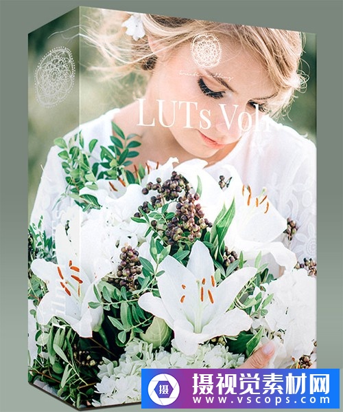 飞思婚礼人像预设第一季-KREATIV WEDDING LUTS VOL1 for Capture One Pro