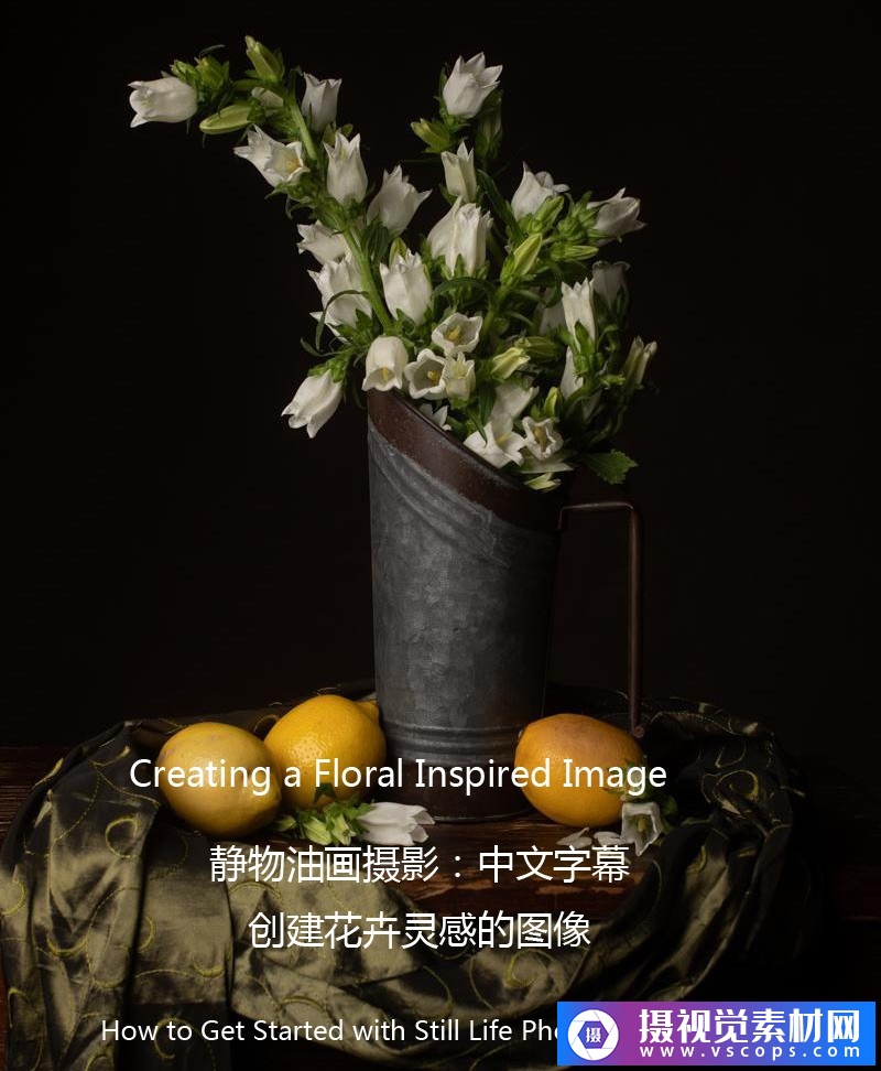 静物油画摄影-创建灵感花卉油画风格摄影布光教程-中文字幕