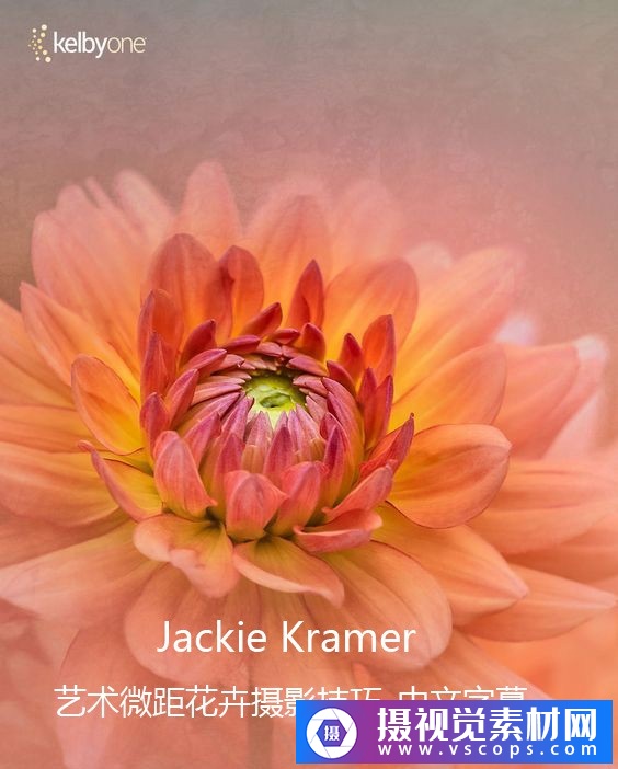 KelbyOne-花卉摄影师Jackie Kramer艺术微距花卉摄影技巧-中文字幕