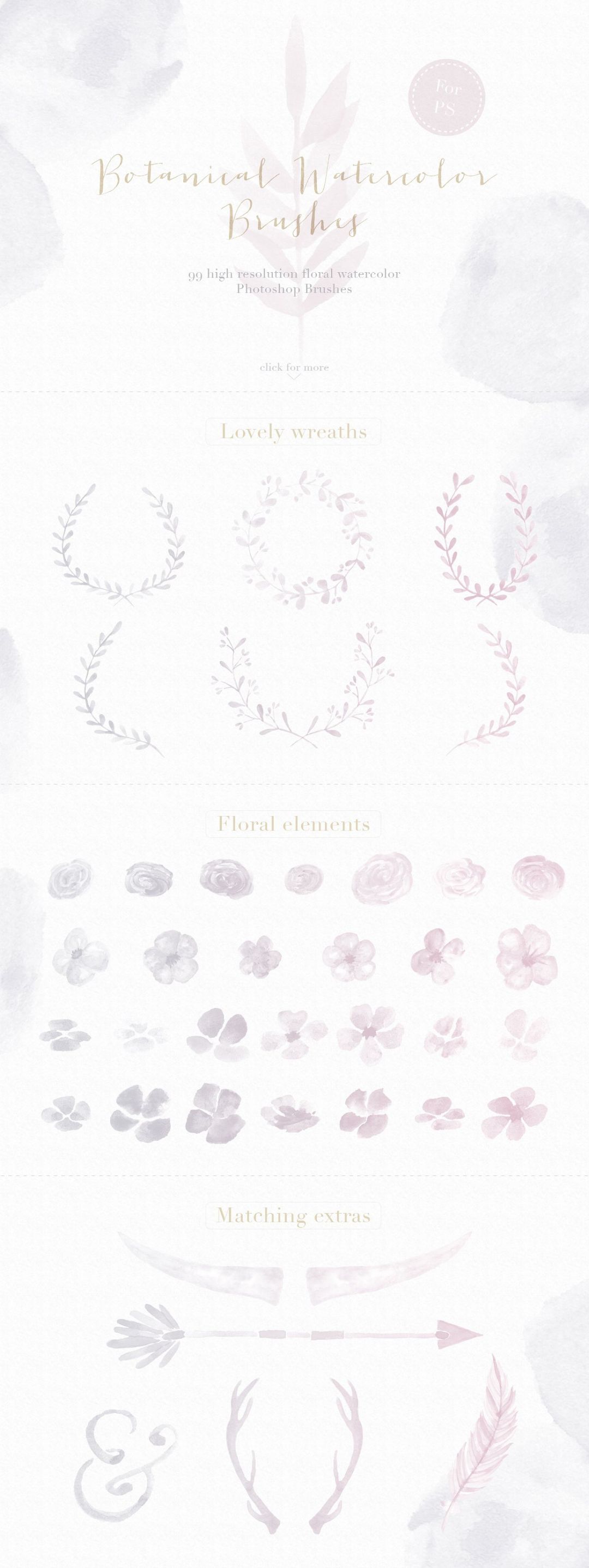 水彩花卉笔刷 Floral Watercolor Photoshop Brushes