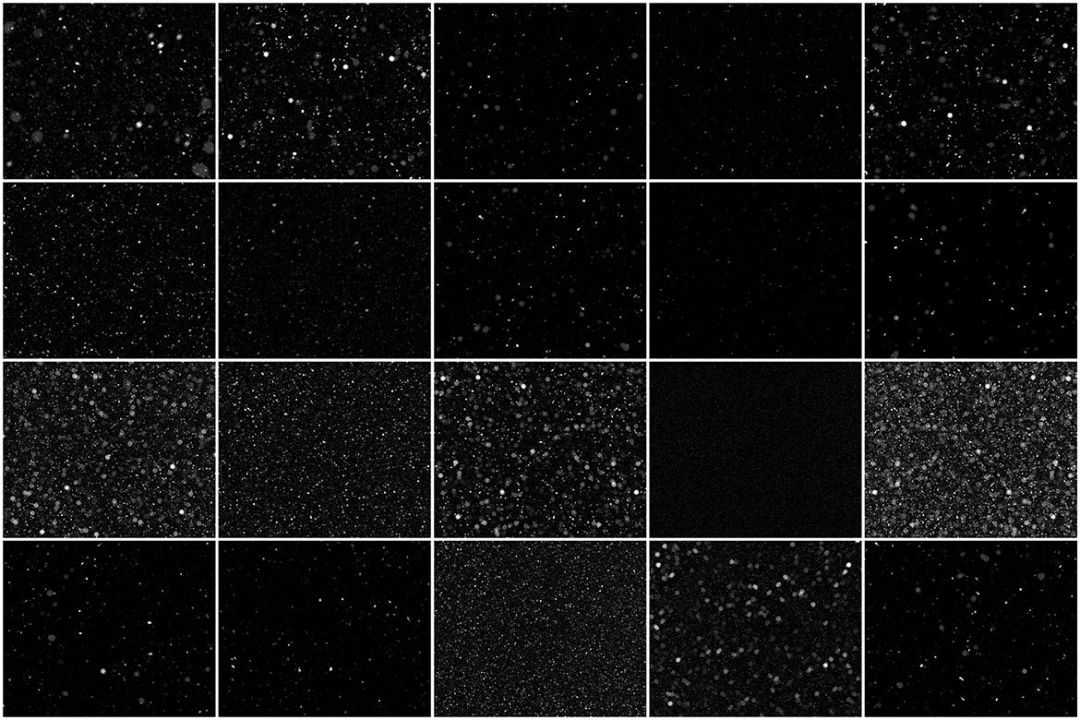 1585816025-4041098a4c93ad1