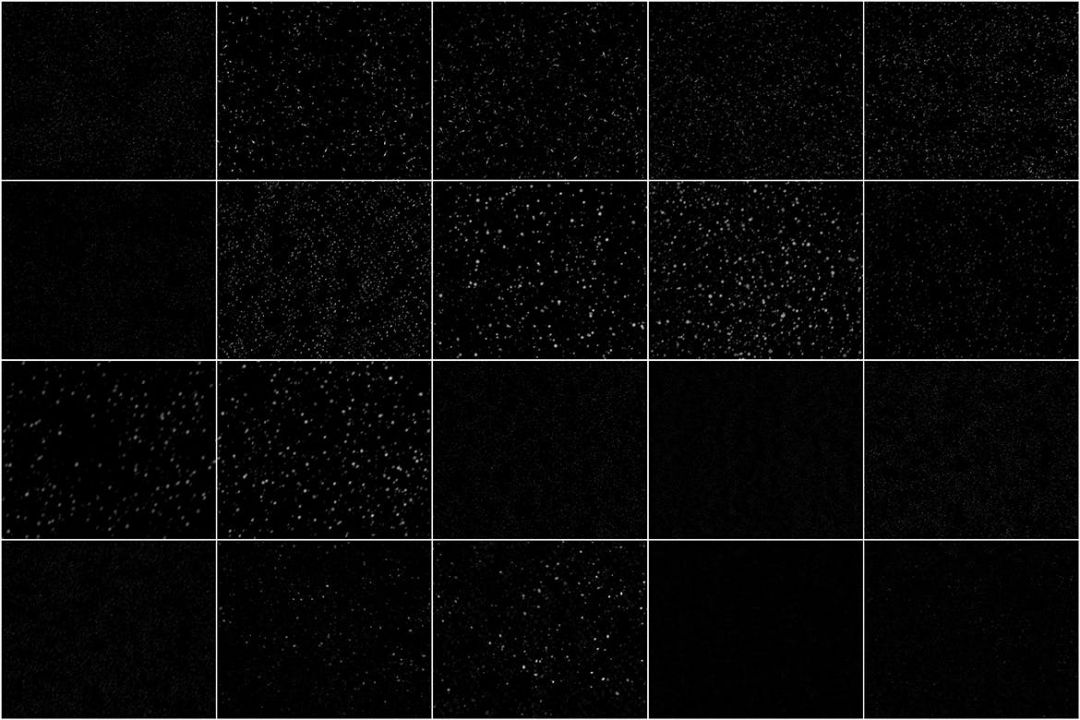 1585816033-65f959dccbb238d